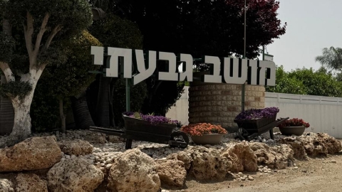 תמונה 2 (4).jpg