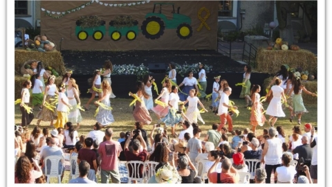 חצור 8.jpg